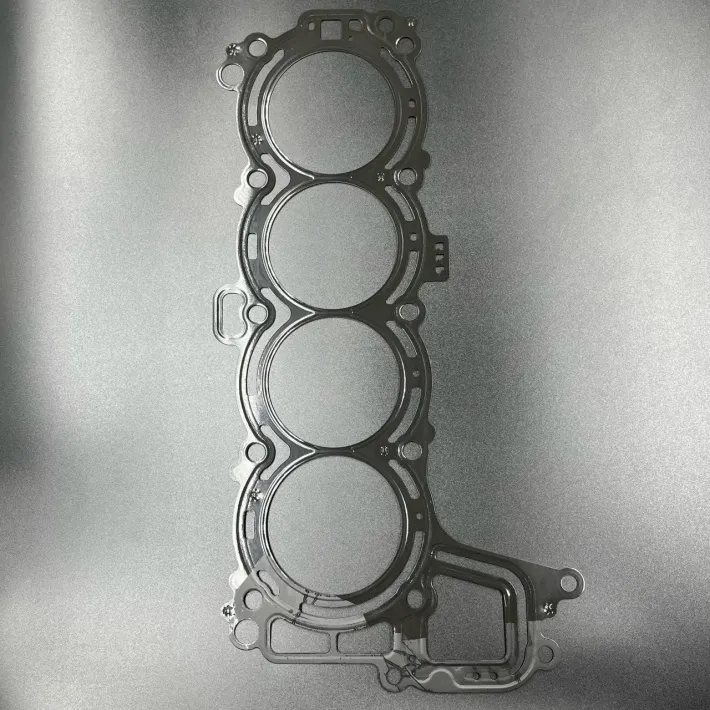 6FP-11181-00 — 1
