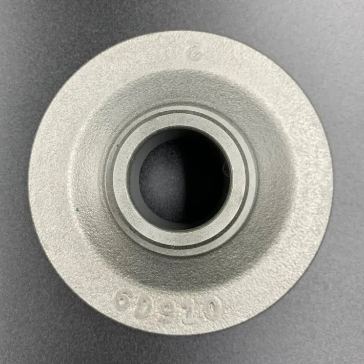 6D9-45571-10 — 2