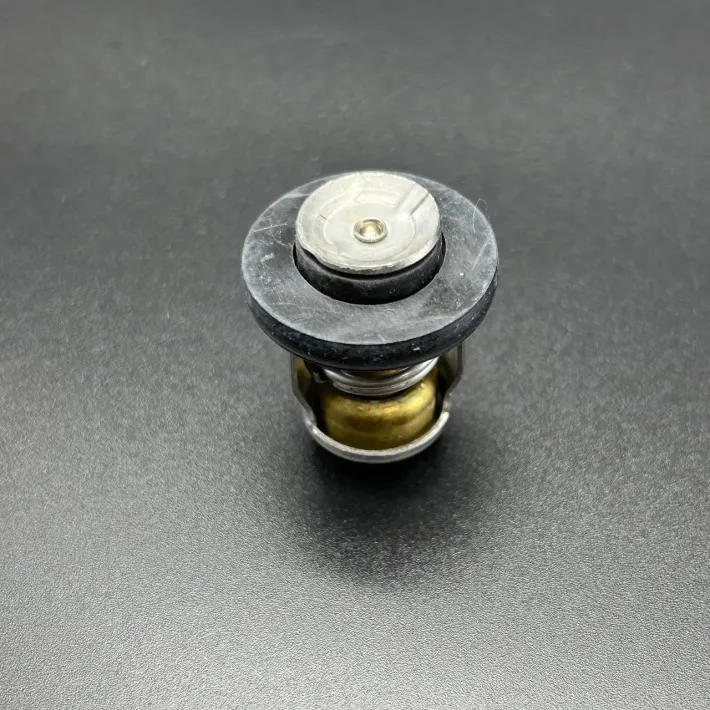 825212T02 — 3