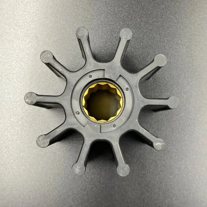 21730344 — 2