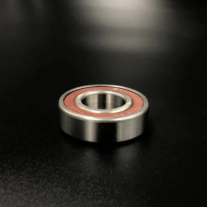6004DDUCM — 1