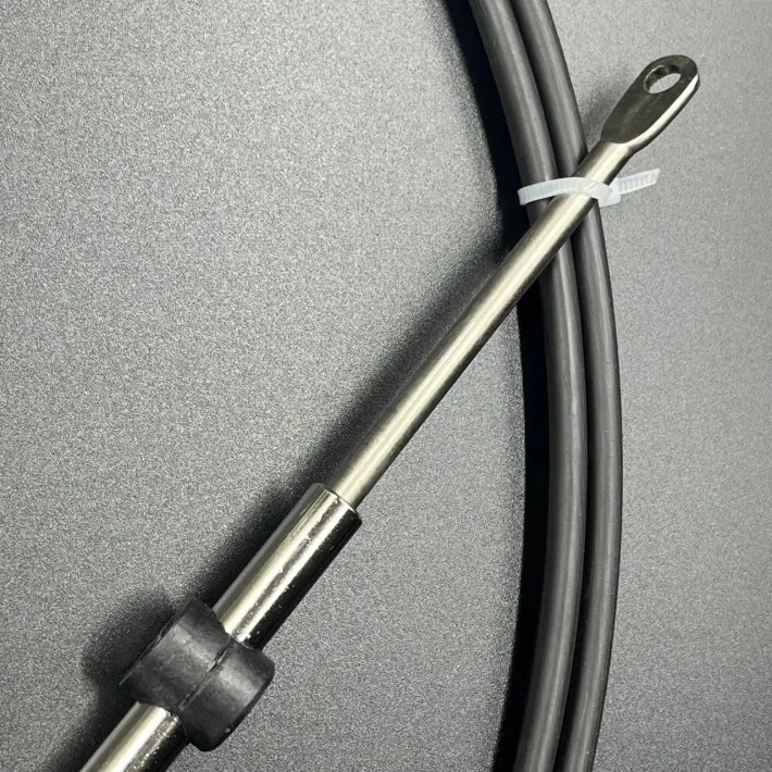950201AA-11FT — 3
