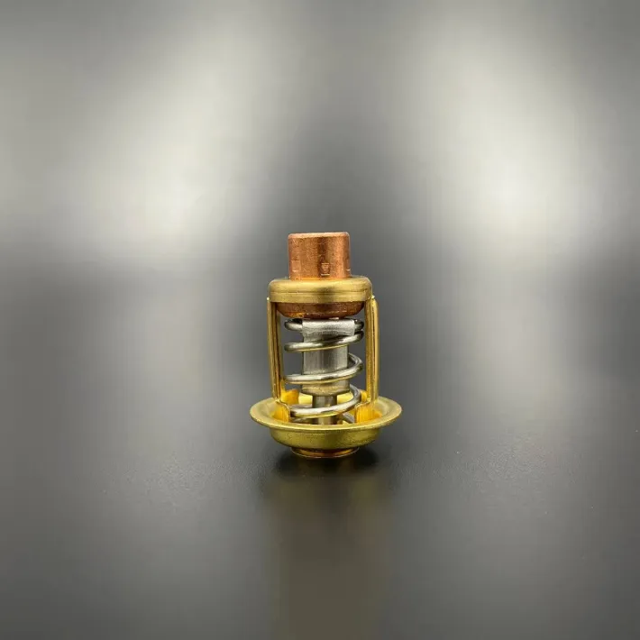 895338 — 1