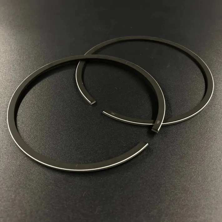 39-822321A12-STD-RIKEN — 3