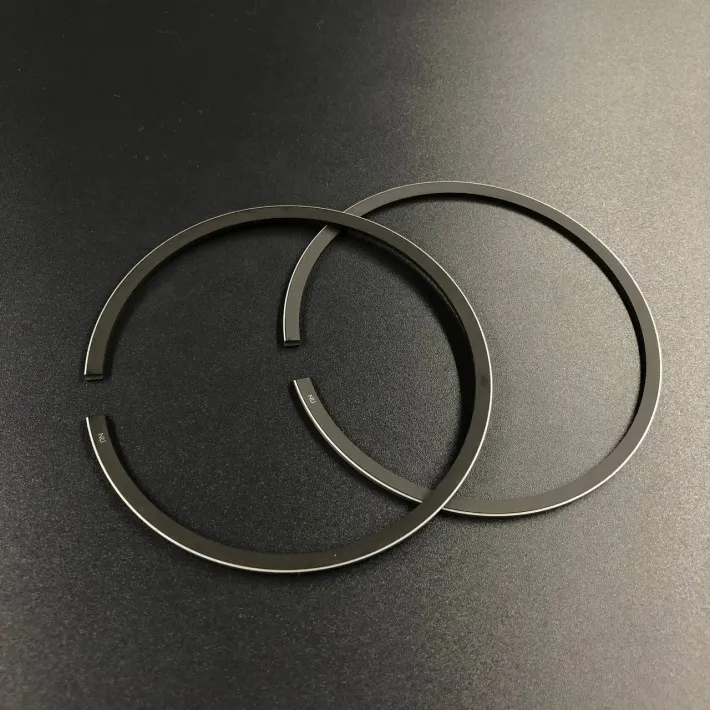 39-822321A12-STD-RIKEN — 5