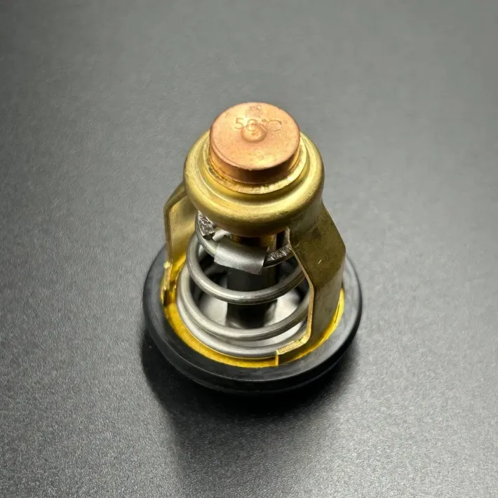 60V-12411-00 — 3