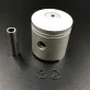 309-00001-0 — 1