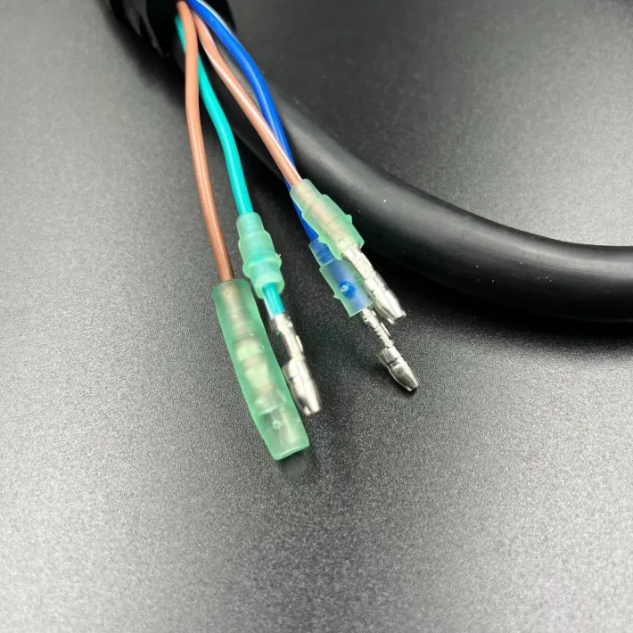 896539T01 — 2