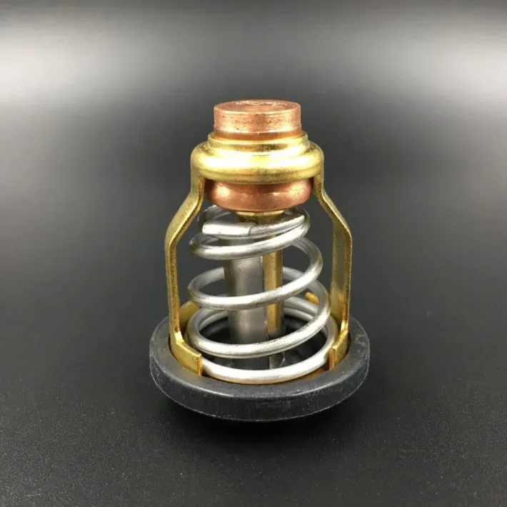 60V-12411-00 — 3