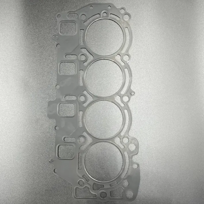 6C5-11181-01 — 1