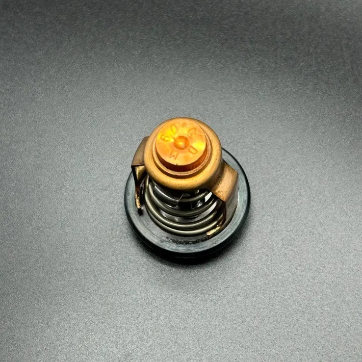 8556761 — 3