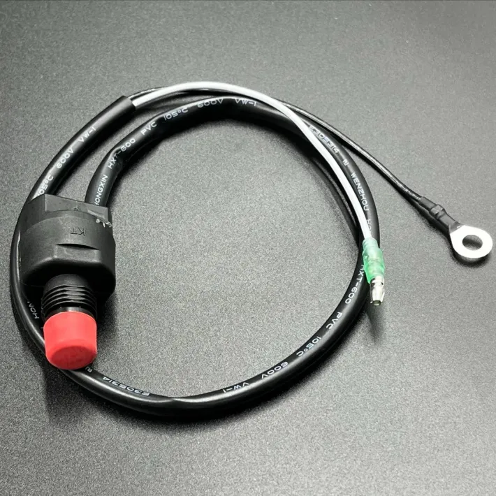 65W-82575-01 — 1
