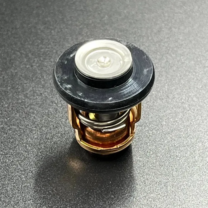 6AH-12411-00 — 6