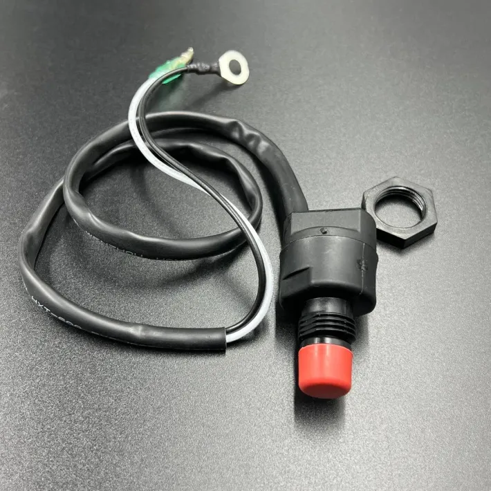 65W-82575-01 — 1