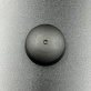19-815951 — 1