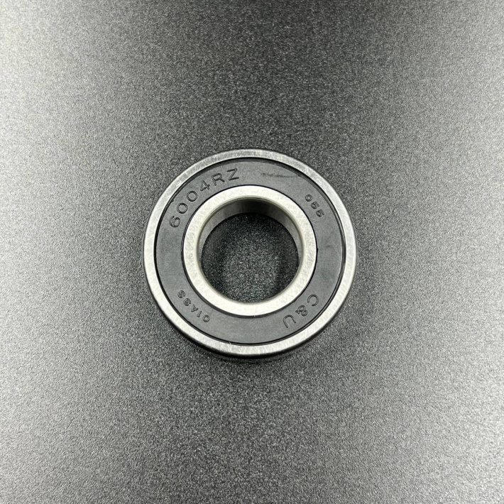 6004DDUCM — 2