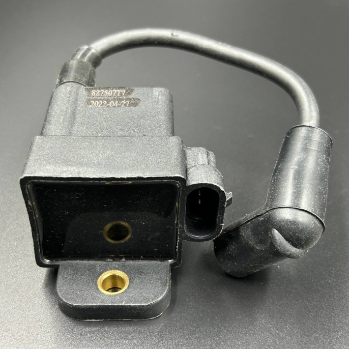 827509A4 — 3