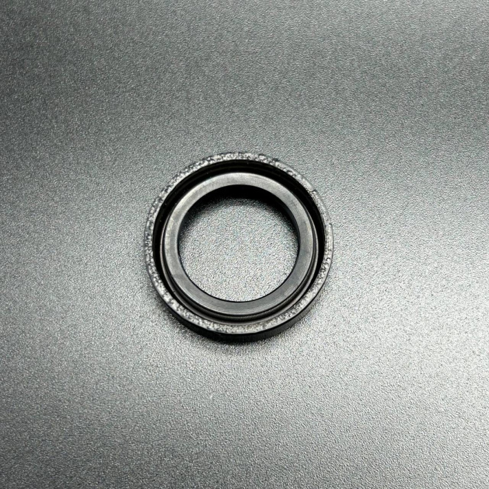 66301 — 2