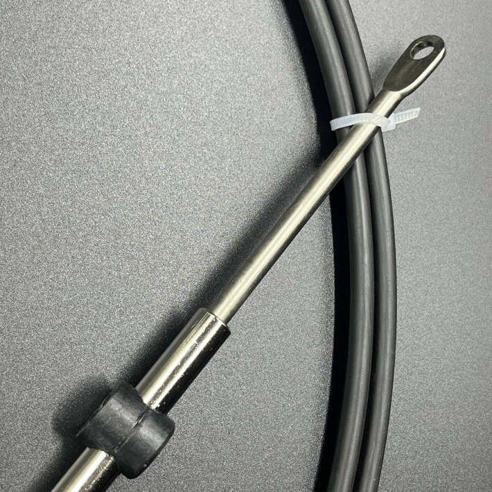 950201AA-11FT — 3