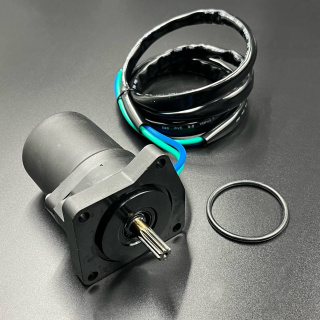 Мотор гидроподъемника Yamaha F25-40 (Premarine) картинка
