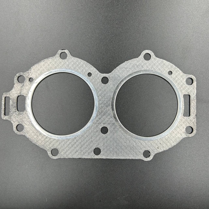 61N-11181-A1 — 1