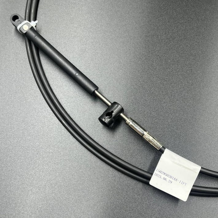 950201AA-11FT — 2