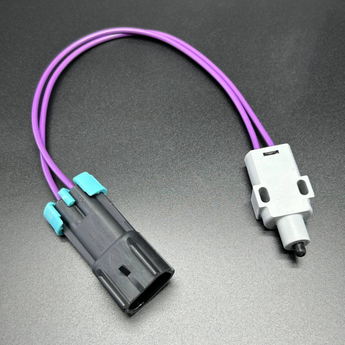 808009T11 — 1