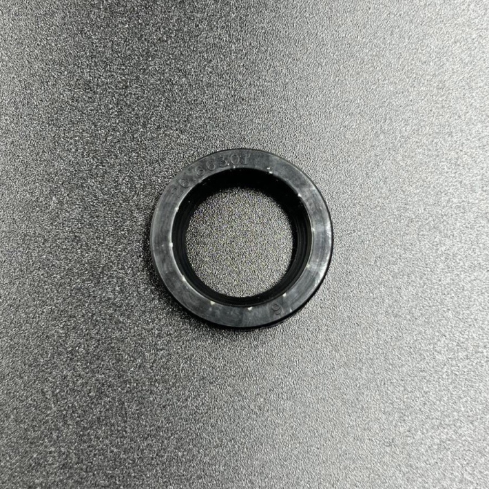 26-66301 — 1