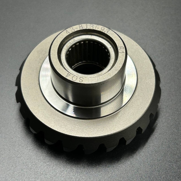 43-813693A1 — 3