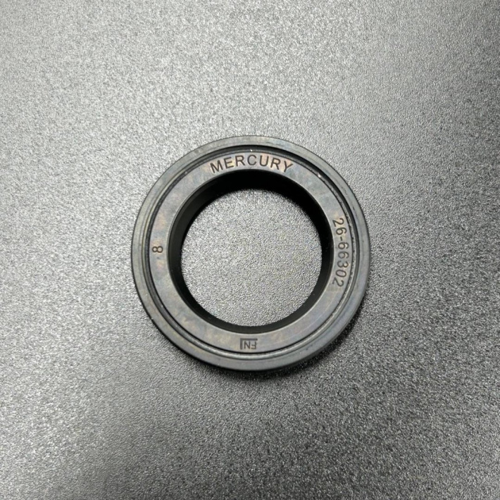 66302 — 1