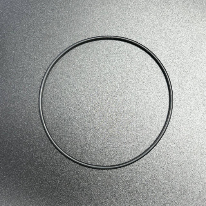 879312025 — 3