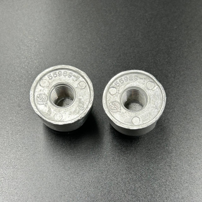 55989Q9 — 2