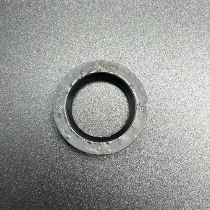 66301 — 1