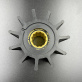 21951362 — 2