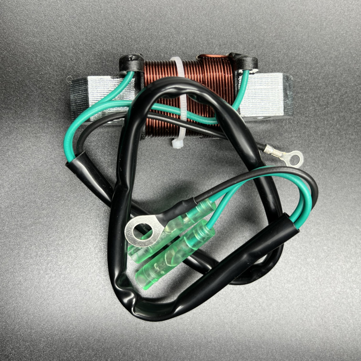 66T-85550-10 — 3