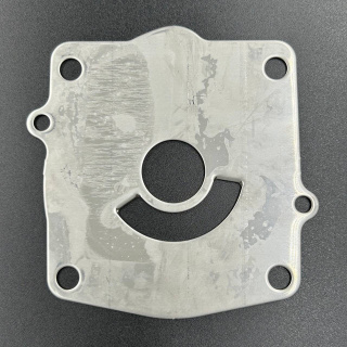 Пластина помпы охлаждения Yamaha 150-250 (Yamaha) картинка