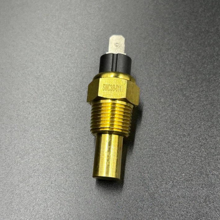 DPMTS-WT — 3