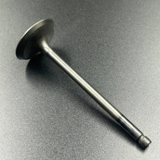 Клапан впускной F75-100 (Yamaha) картинка