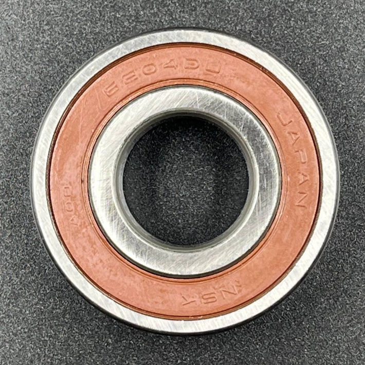 6204DDUCM — 5