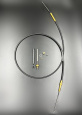 8M0176523 — 1