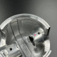 815965T4 — 4