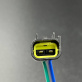 63P-81950-00 — 3