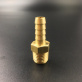 GS31066 — 2