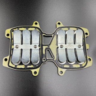 Лепестковые клапана Yamaha 40X (В сборе) (YUELANG) картинка