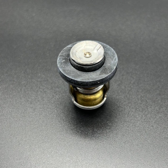 825212T02 — 3