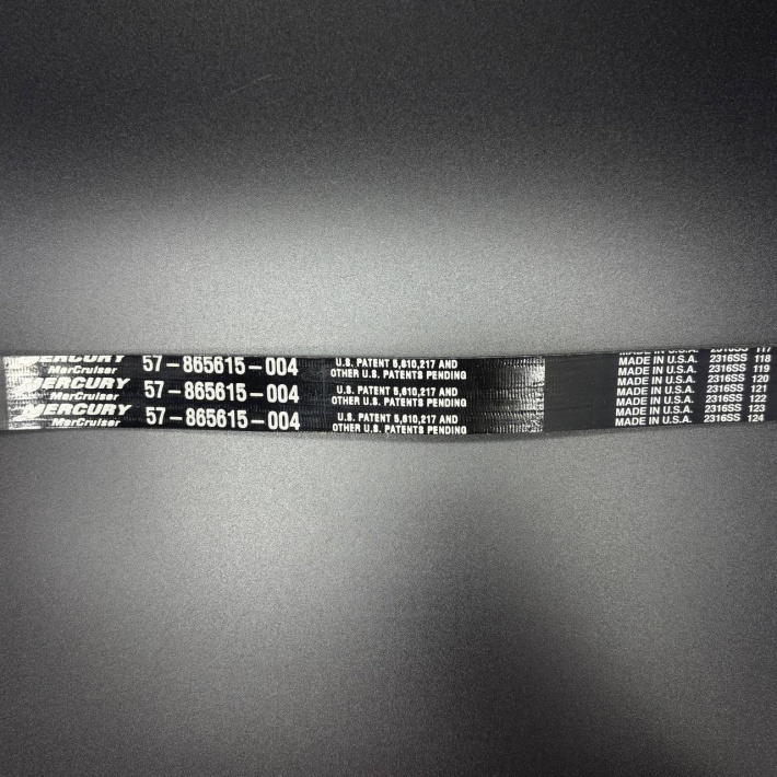 57-865615Q04 — 2