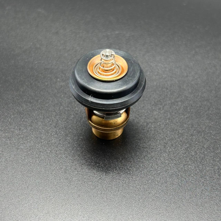 803665 — 3