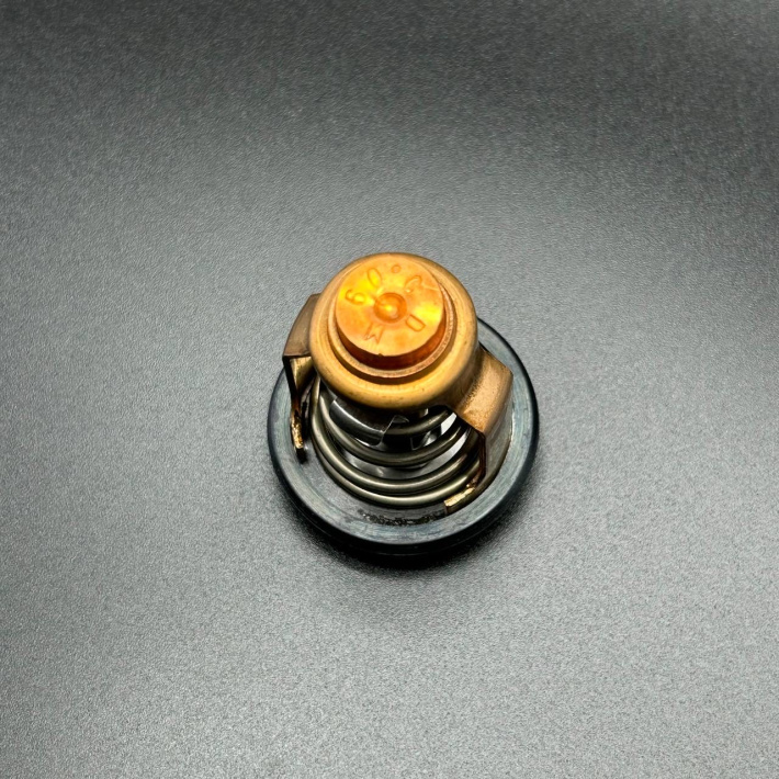 8556761 — 3
