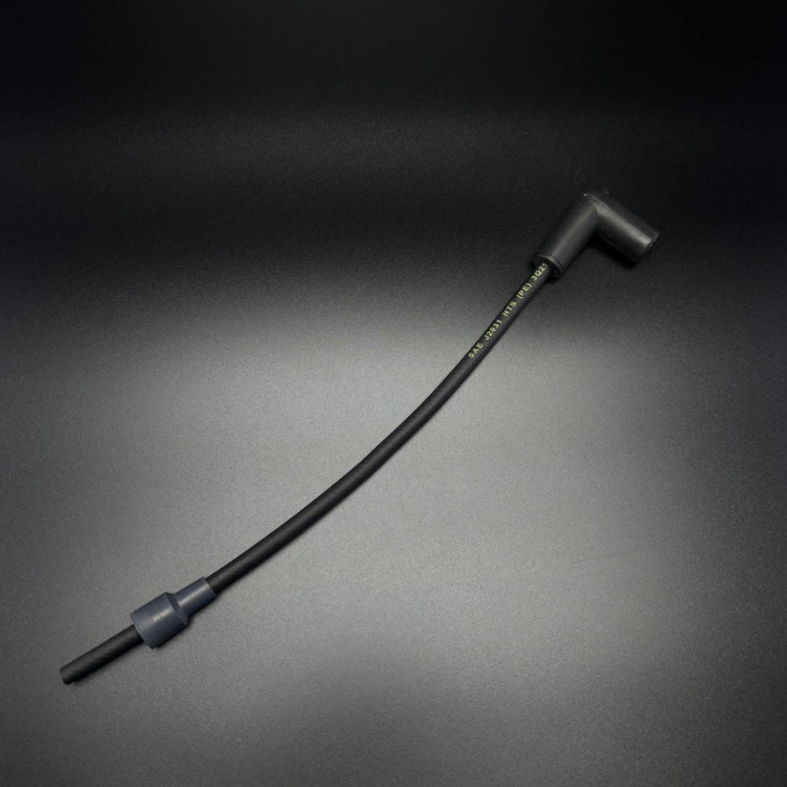 821945A61 — 1