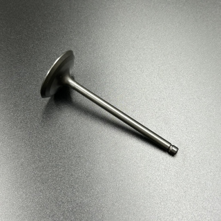 Клапан впуска Yamaha F150-300 (Yamaha) картинка